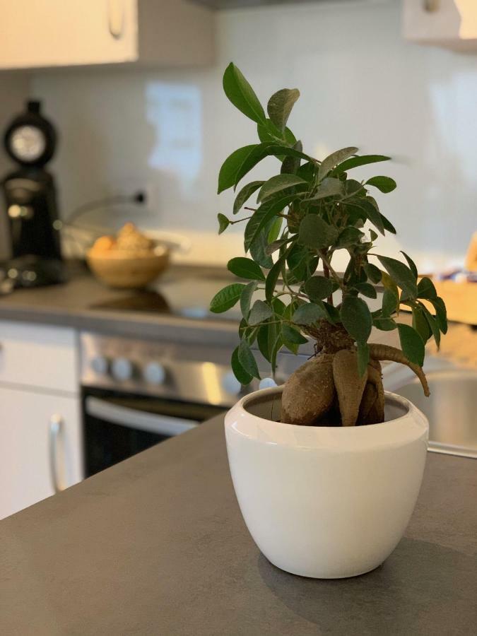 Apartment Koeln Ensen Εξωτερικό φωτογραφία