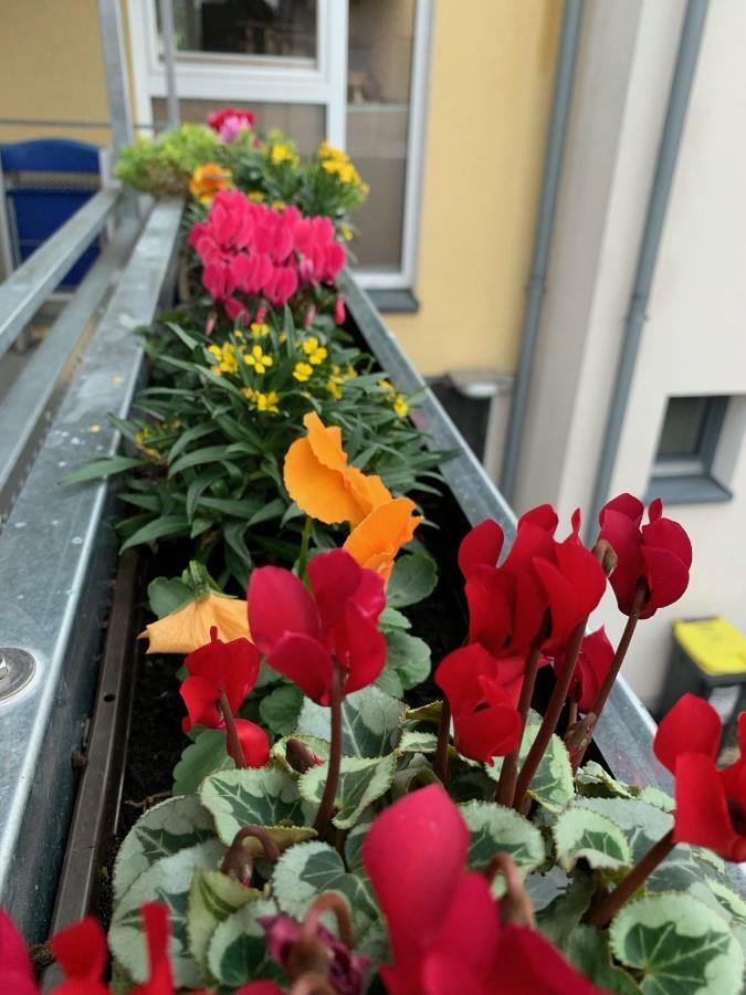 Apartment Koeln Ensen Εξωτερικό φωτογραφία